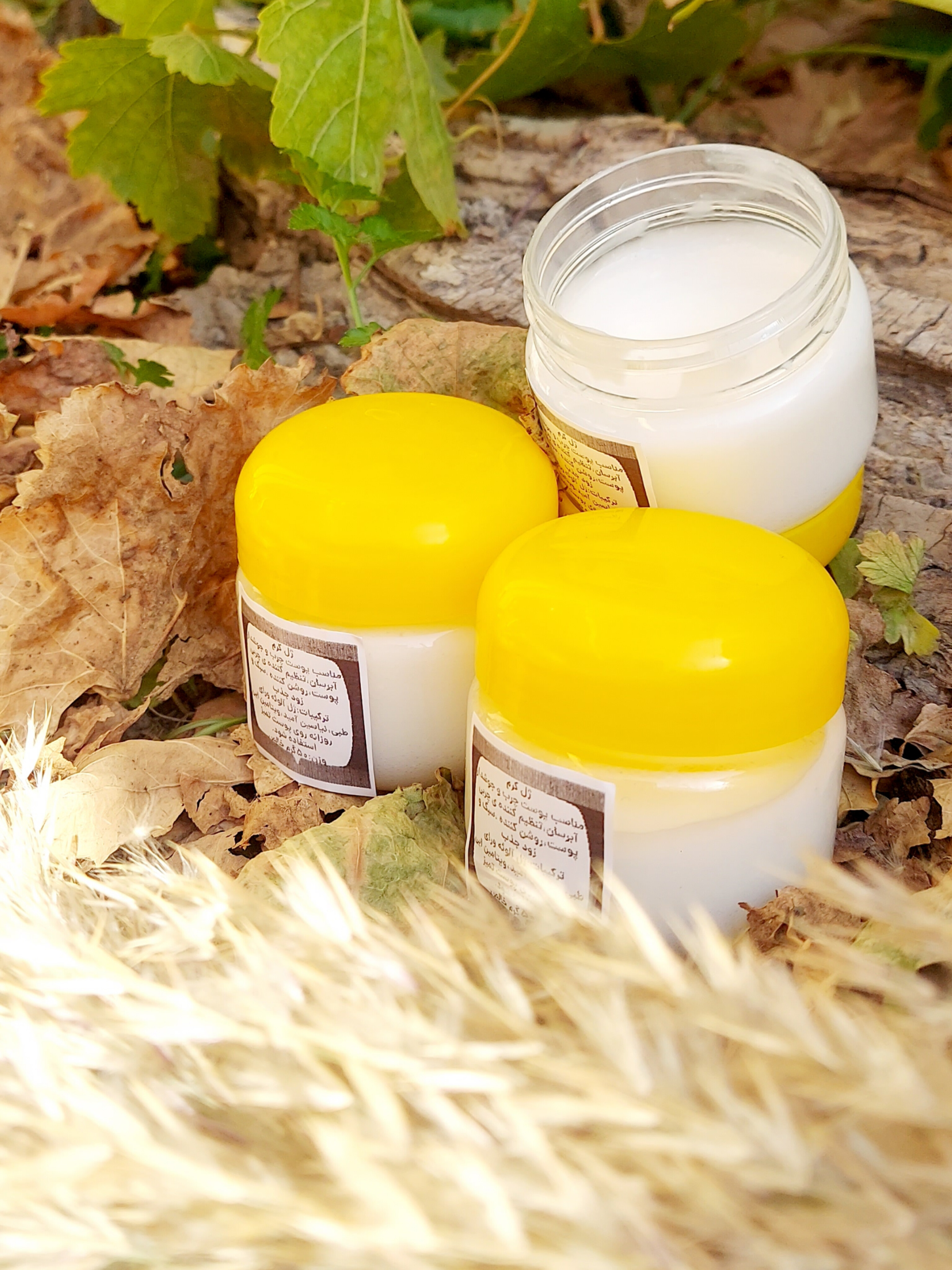 ژل کرم های ارگانیک و گیاهی مناسب پوست های چرب و مستعد جوش